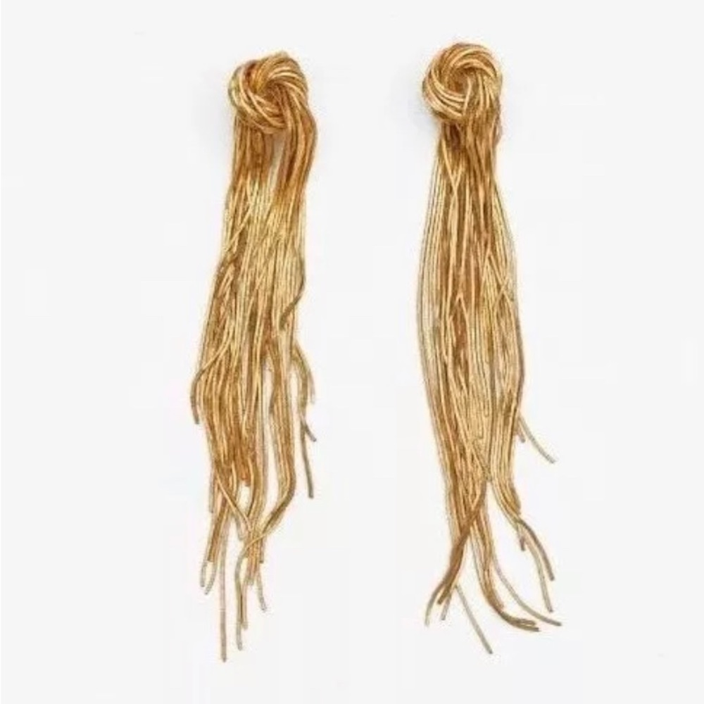 Dangle earring NWOT